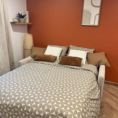 Appartement Croix Rousse
